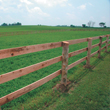 Board Horse Fence