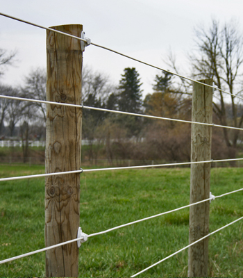 Coated Wire Fence