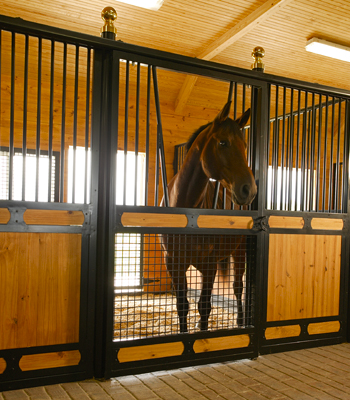 Designer Horse Stalls