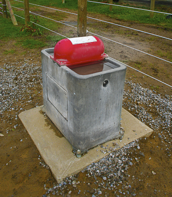 Horse Waterers and Buckets