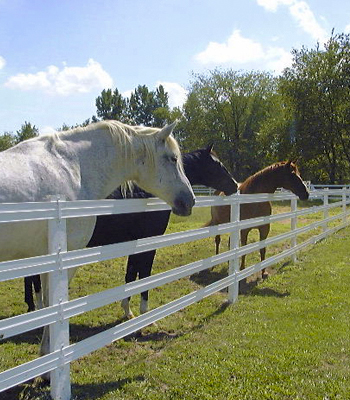 Horserail Flex Fence by JWI
