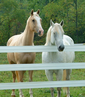 Horserail Flex-Fence Rolls