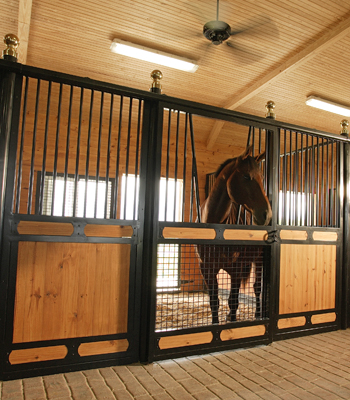 Nobleman Stall Fronts