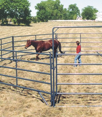Horse Round Pens