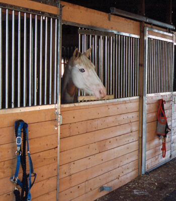 Standard Horse Stalls