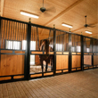 Nobleman Designer Horse Stalls