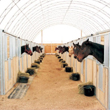 Portable Panel Horse Stalls