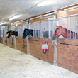 Standard Horse Stalls