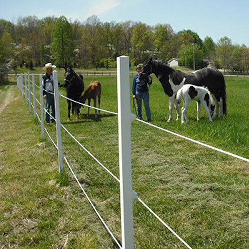 ElectroBraid™ Electric Horse Fence RAMM Horse Fencing & Stalls