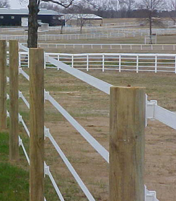 ELECTRIC FENCING | ELECTRIC FENCE TAPE | POLY TAPE FROM