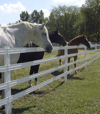 4.25 Inch 3 Wire Horserail - 330 Foot Roll