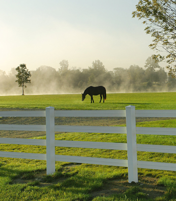 5.25 Inch 3 Wire Horserail – 330 Foot Roll