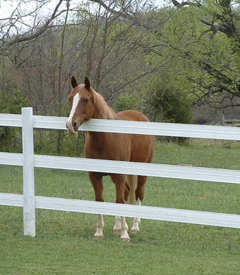 5.25 Inch 3 Wire Horserail – 660 Foot Roll