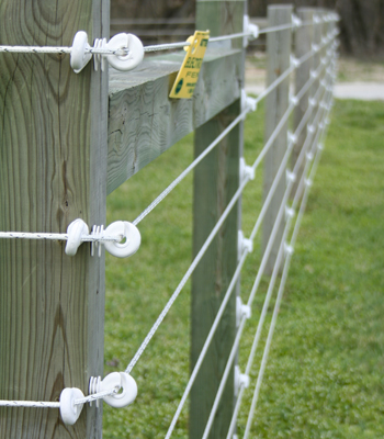 ELECTRIC FENCES FOR HORSES - EQUINE TESTIMONIALS