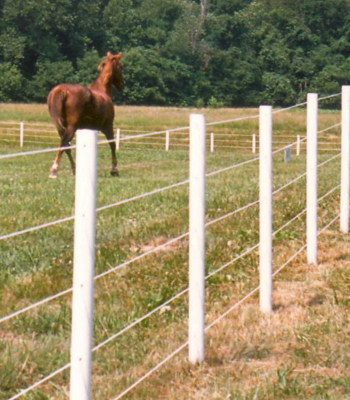 ELECTRIC FENCE SUPPLIES AND KITS FOR HORSES, CATTLE AND