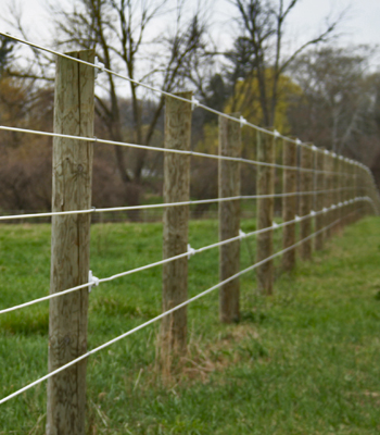 ELECTRO-BRAID HORSE FENCING - DISCOUNT FENCE SUPPLY, INC.