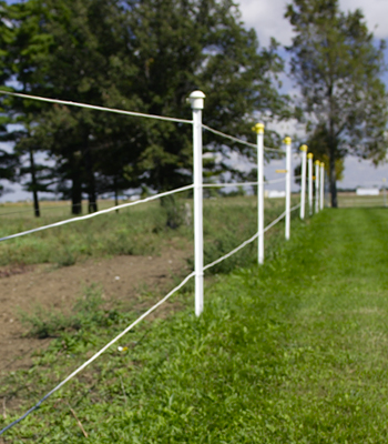 ELECTRIC FENCE - WIKIPEDIA, THE FREE ENCYCLOPEDIA