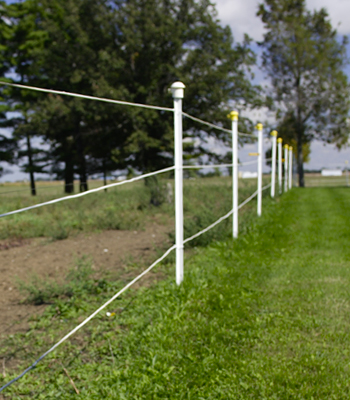 HORSEGUARDFENCE.COM : THE BEST ELECTRIC FENCE FOR HORSE