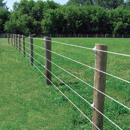 Shockline Flex Fence\u00ae Electric Coated Wire  RAMM Horse 