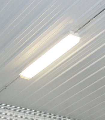 Barn and Arena Lighting