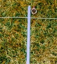 Single Ground Rod with Clamp