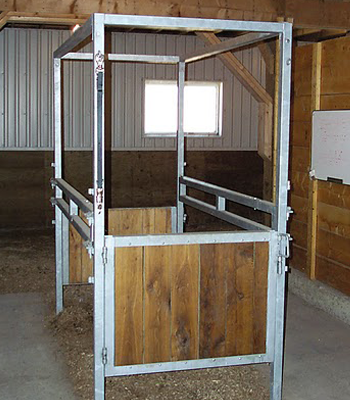 Horse Stock