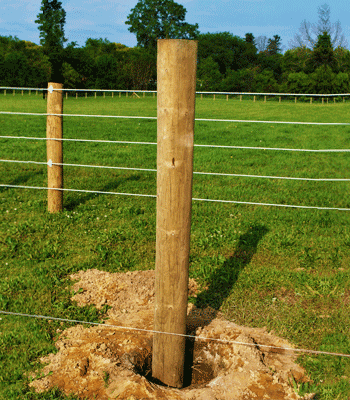 HORSE FENCE DIRECT - HORSE FENCING | HORSE ELECTRIC FENCE