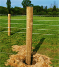 Wood Posts