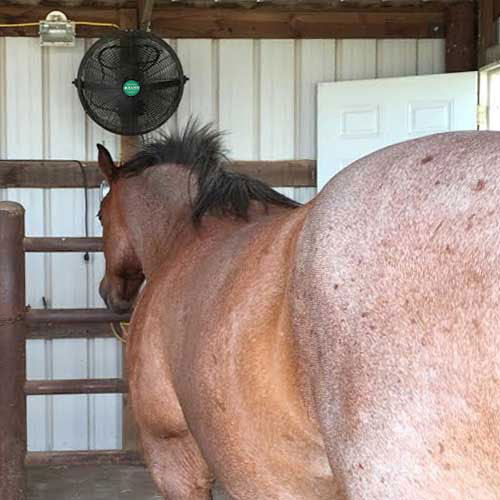 Horse Stall Fans