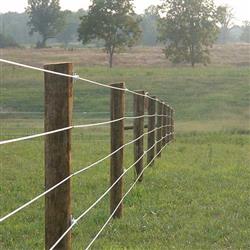 Coated Wire Fence