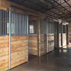 Derby Horse Stalls