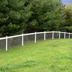 Mesh Horse Fence