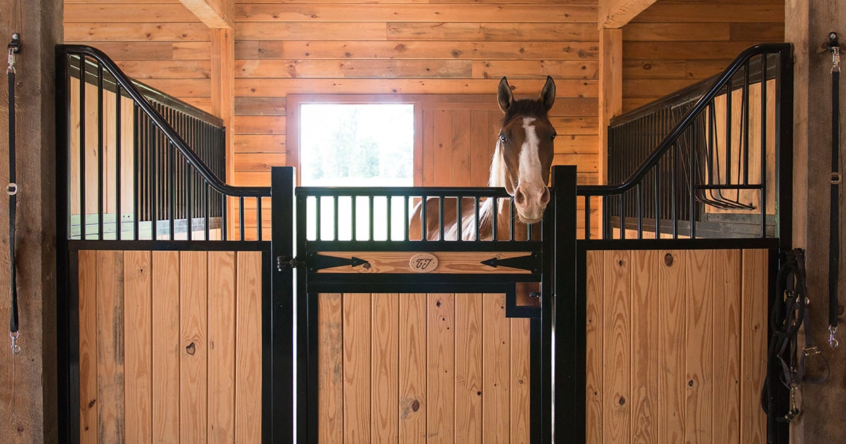 Horse stall deals kits