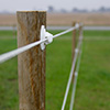 Pro-Tek Electric Rope Horse Fence