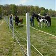 ElectroBraid™ Electric Horse Fence - 600' Roll (OBSOLETE)