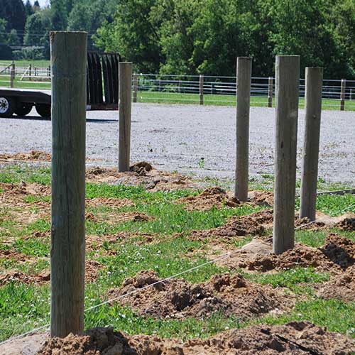 PressureTreated Wood Posts RAMM Horse Fencing & Stalls