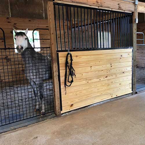 Oxford Welded Stall Front with Full Mesh Swing Gate Kit RAMM Horse