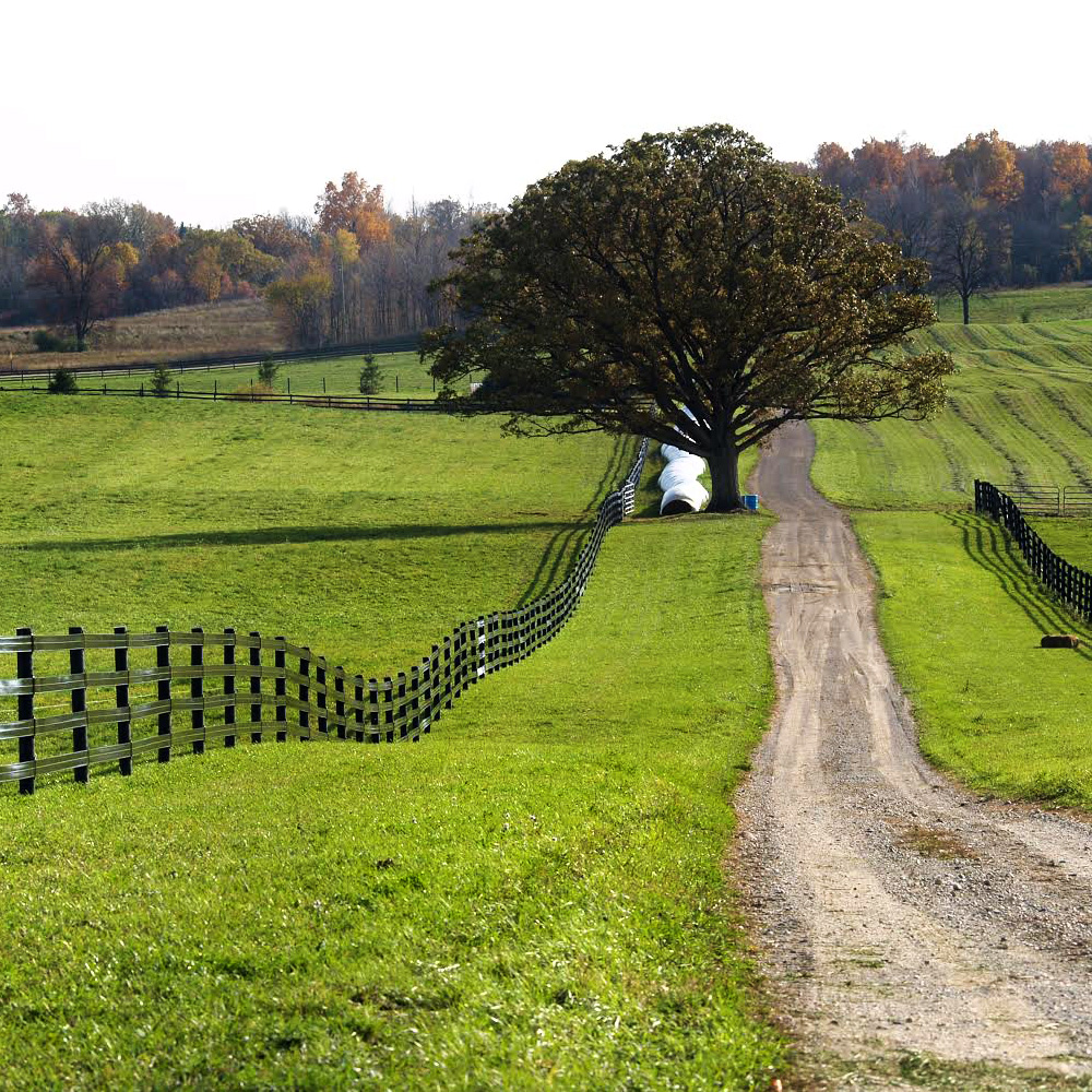 525 Plus Flex Fence | Horse Flex Fencing | Ramm Fence